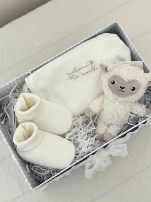Box Bem vindo ao mundo #2